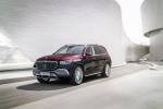 Mercedes-Maybach GLS600 4Matic 2020 года (WW)